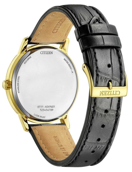 Meeste käekell Citizen Eco-Drive BM6756-01A - Premiumkellad