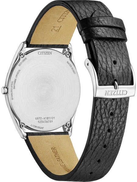 Unisex käekell Citizen Suratto AR3120-16A - Premiumkellad