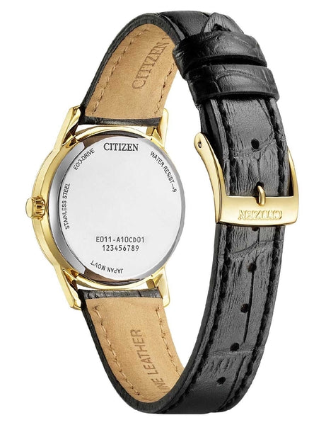 Naiste käekell Citizen Eco-Drive EW2722-01A - Premiumkellad