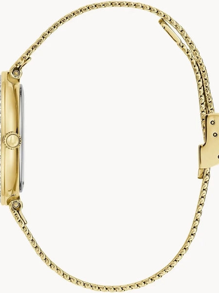 Naiste käekell Bulova Crystal Phantom 98L321 - Premiumkellad