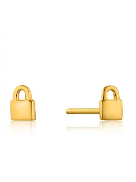 Ania Haie kõrvarõngad Under Lock & Key E032-99G - Premiumkellad