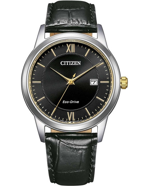 Meeste käekell Citizen Eco-Drive AW1784-16E - Premiumkellad