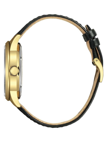 Meeste käekell Citizen Automatic Day-Date NY4059-09AE - Premiumkellad