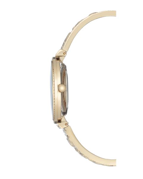 Naiste käekell Anne Klein Crystal AK/3146MPGB - Premiumkellad