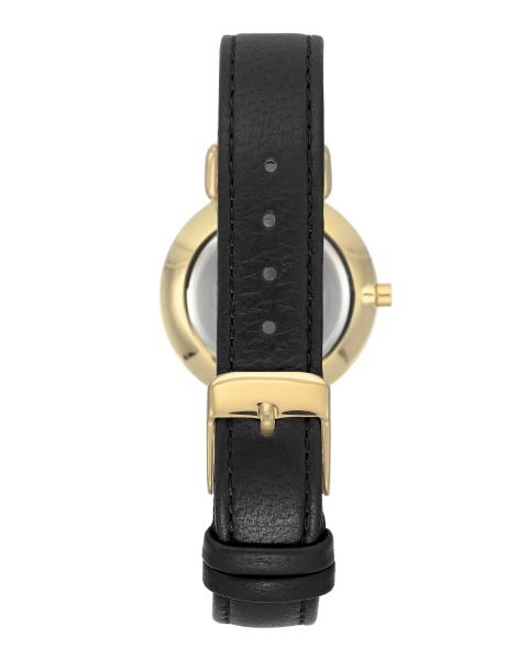 Naiste käekell Anne Klein Leather AK/2752MPBK - Premiumkellad