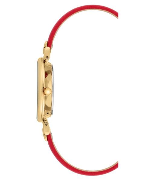 Naiste käekell Anne Klein Leather AK/2156CHRD - Premiumkellad