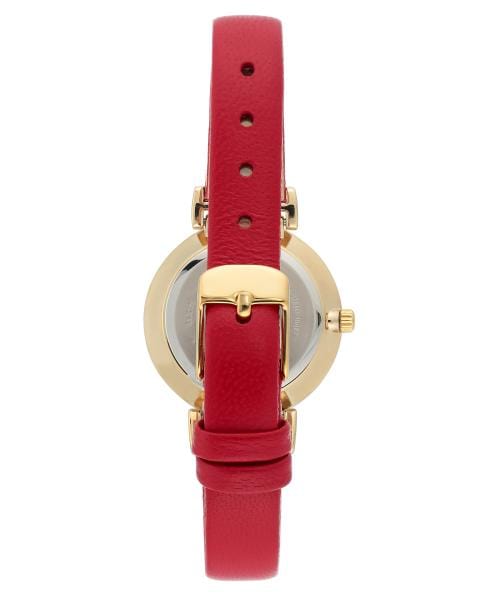 Naiste käekell Anne Klein Leather AK/2156CHRD - Premiumkellad