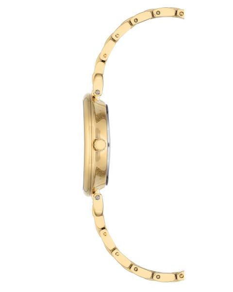 Naiste käekell Anne Klein AK/2158GYGB - Premiumkellad