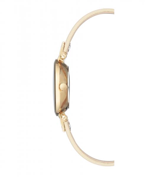 Naiste käekell Anne Klein Leather AK/2684IMIV - Premiumkellad
