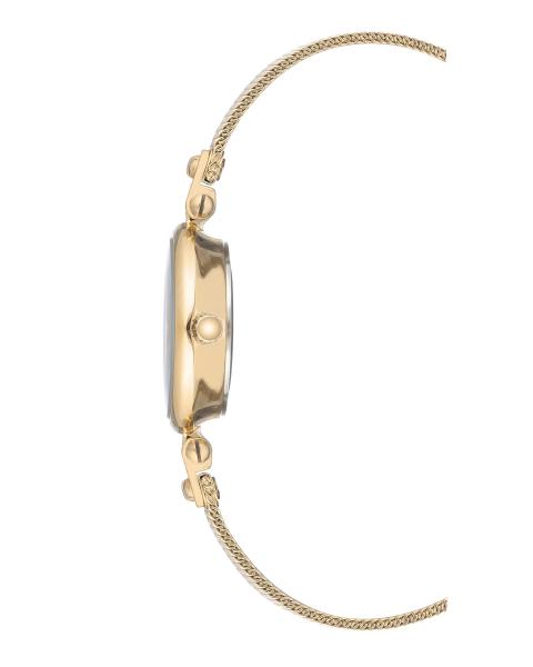 Naiste käekell Anne Klein Diamond AK/3002GNGB - Premiumkellad
