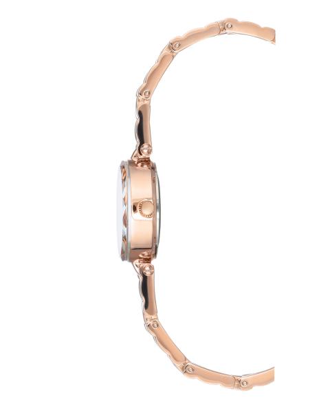 Naiste käekell Anne Klein AK/3120MPRG - Premiumkellad