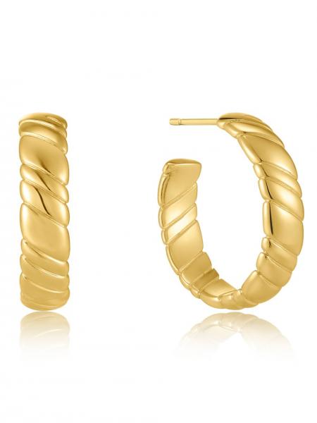 Ania Haie kõrvarõngad Smooth Twist E038-03G - Premiumkellad